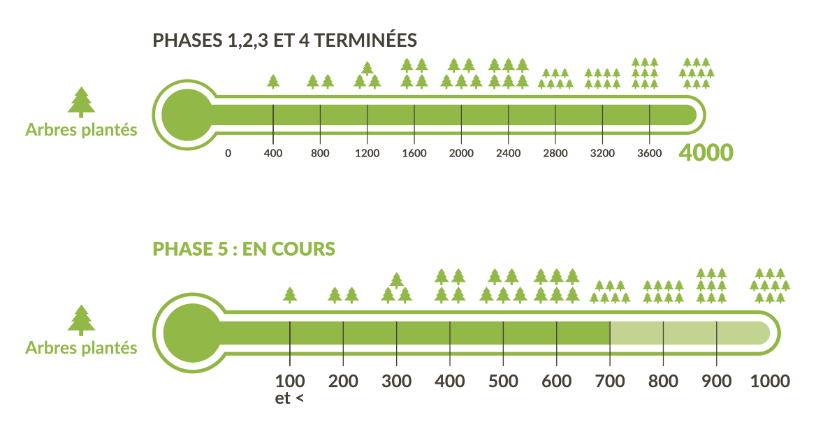 Compensation-Carbone-CO2-Traditours