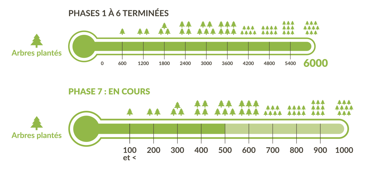 Compensation-Carbone-CO2-Traditours