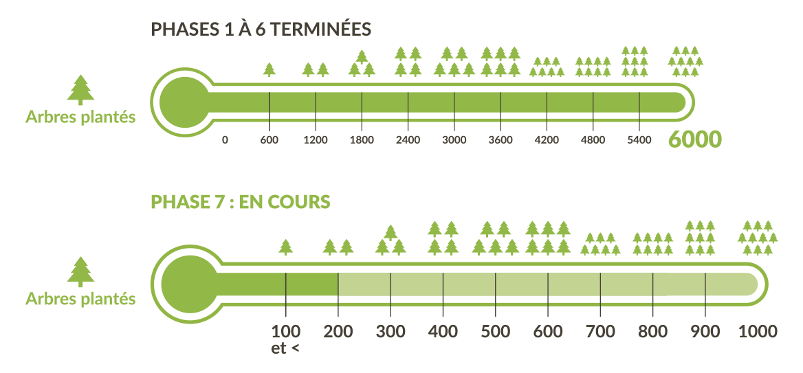 Compensation-Carbone-CO2-Traditours