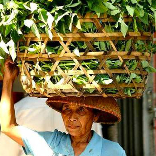 Un Balinais qui porte sur la tête un panier d'osier rempli de feuillage