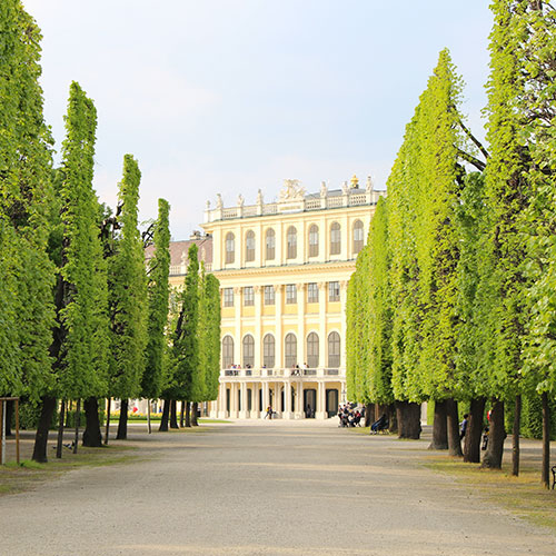 Grand palais impérial avec son allée bordée de magnifiques arbres bien taillés