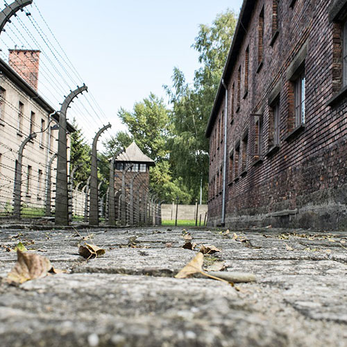 camp de concentration entouré de fils barbelés