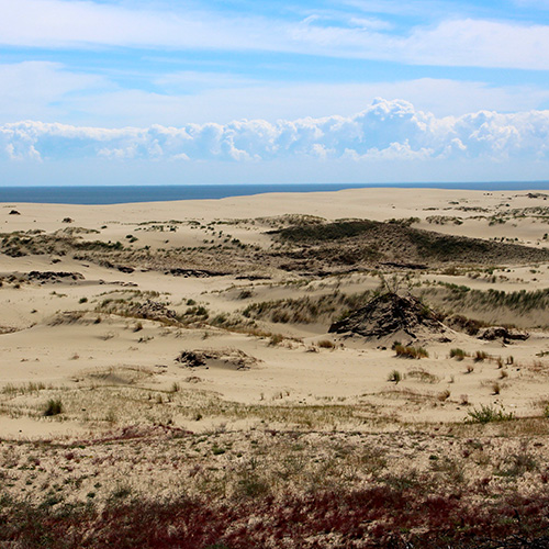 Dune de sable aux abords de la mer